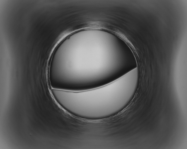 X0000086761484200704130803