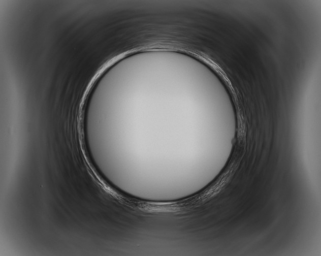 X0000086761486200704130803
