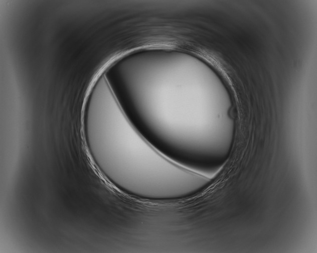 X0000086761488200704130803