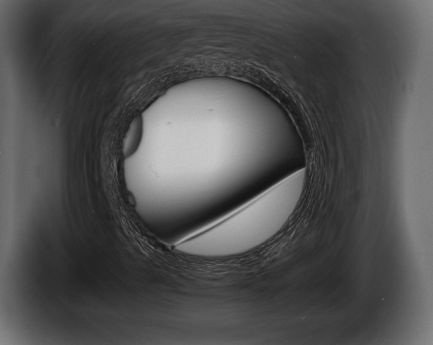 X0000086761489200704130802