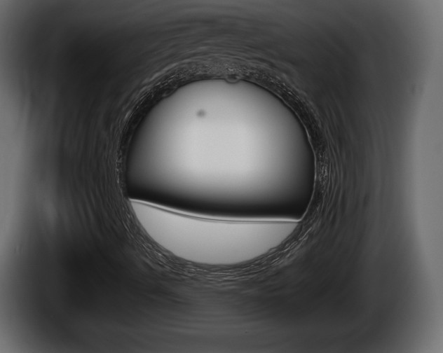 X0000086761490200704130802