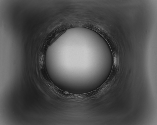X0000086761492200704130802
