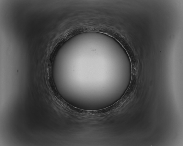 X0000086761493200704130803