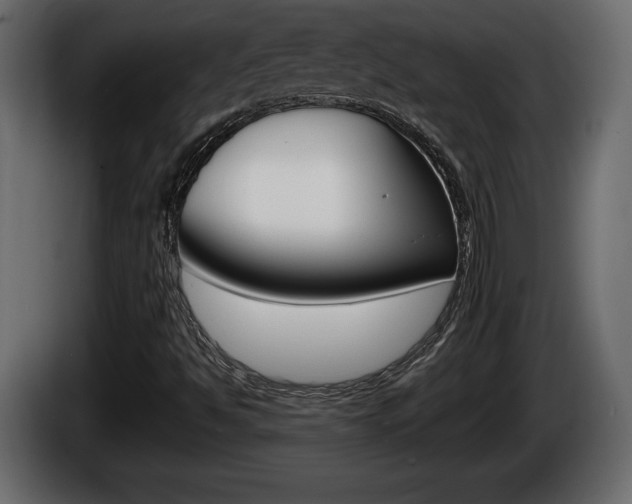 X0000086761494200704130803