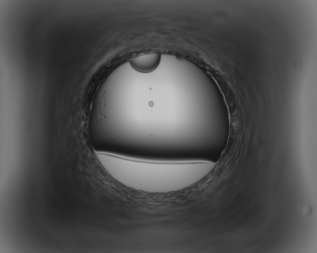 X0000086761495200704130803