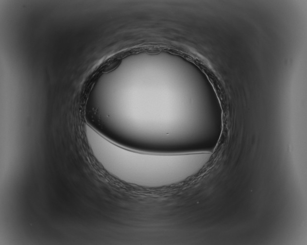 X0000086761496200704130803