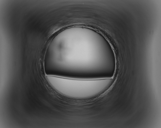 X0000086761497200704130803