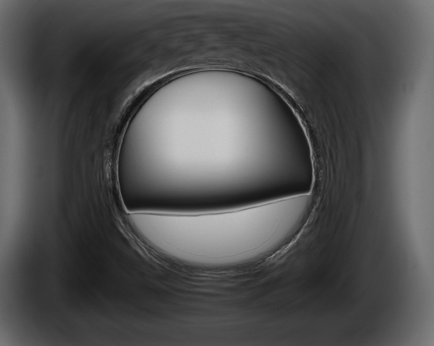 X0000086761499200704130803