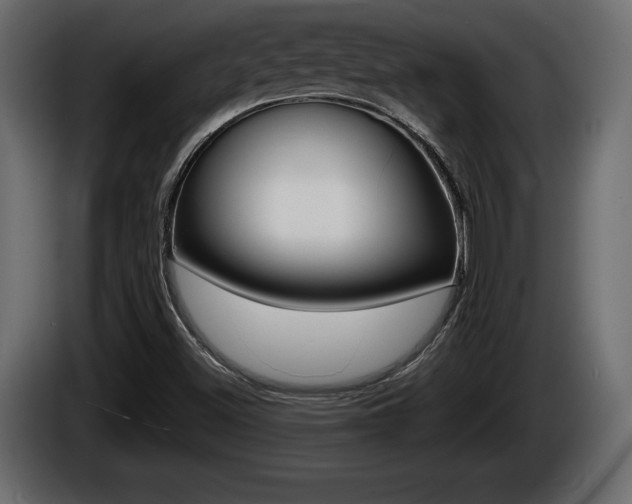 X0000086761500200704130803