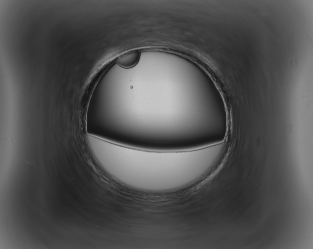 X0000086761501200704130803