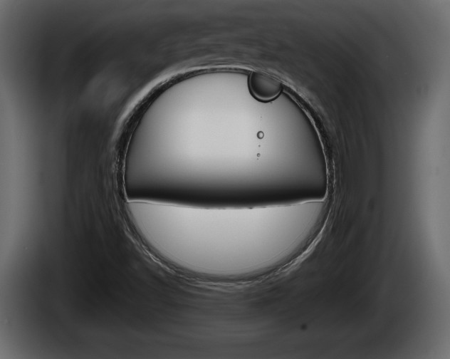 X0000086761502200704130803