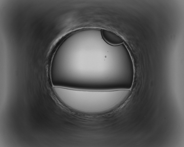 X0000086761503200704130803