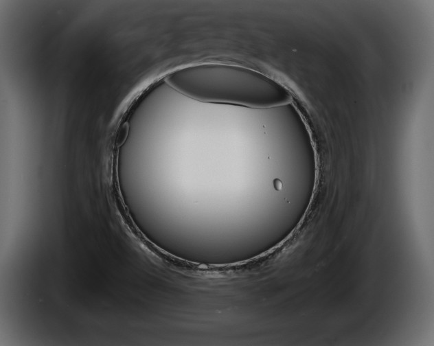 X0000086761504200704130803