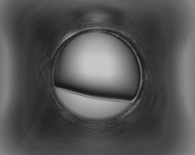 X0000086761505200704130803