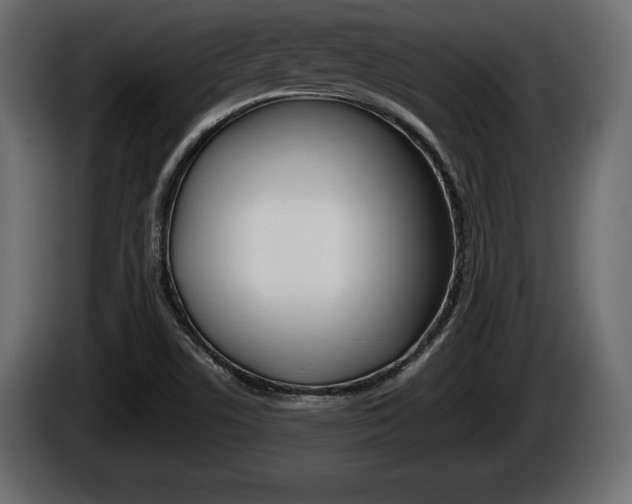 X0000086761506200704130803