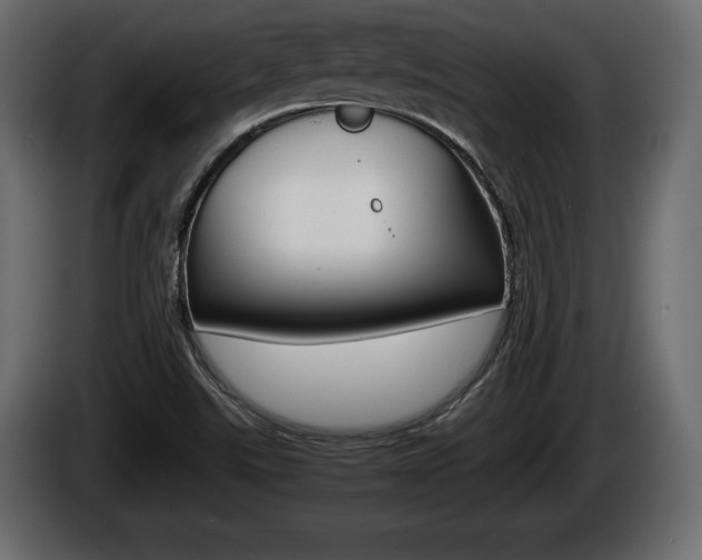 X0000086761507200704130803