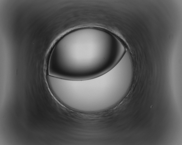 X0000086761508200704130803