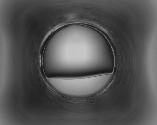 X0000086761509200704130803