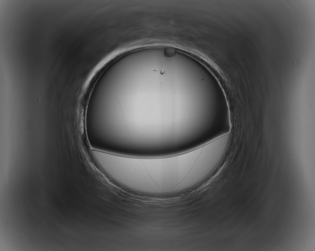 X0000086761510200704130803