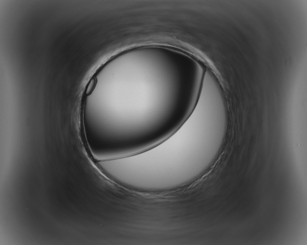 X0000086761512200704130803