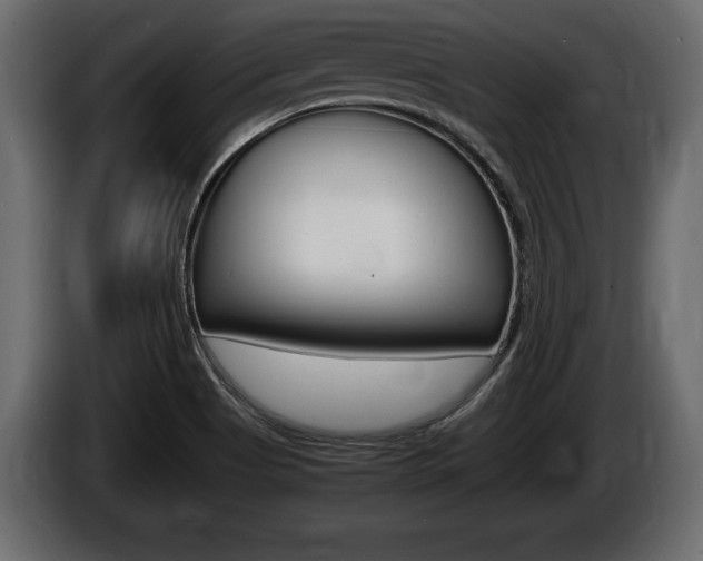 X0000086761513200704130803