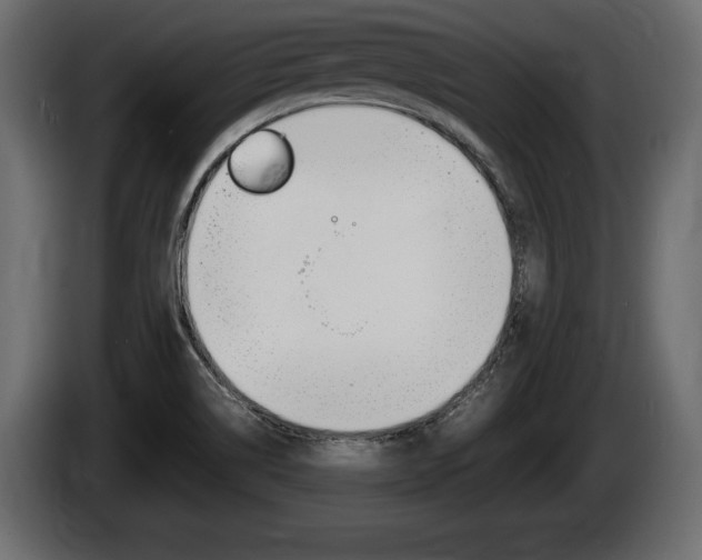 X0000086761514200704130803