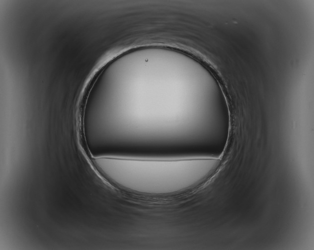 X0000086761517200704130803