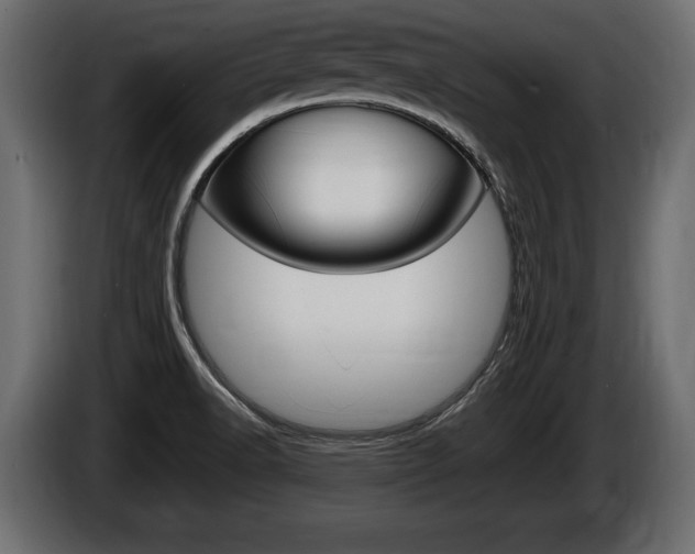 X0000086761518200704130803