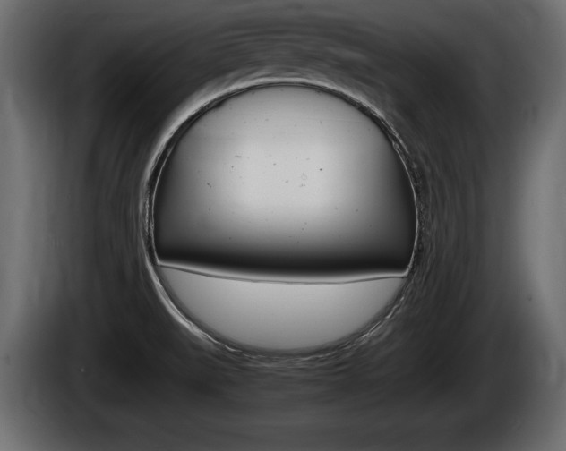 X0000086761519200704130803