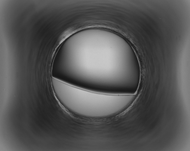X0000086761521200704130803