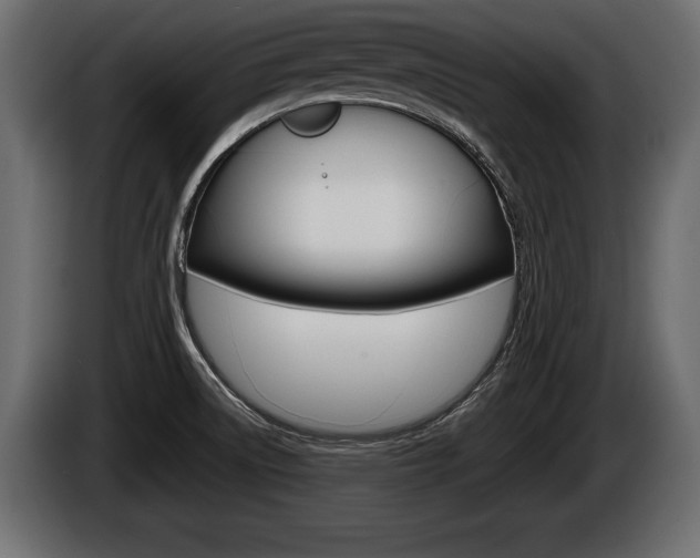 X0000086761522200704130803