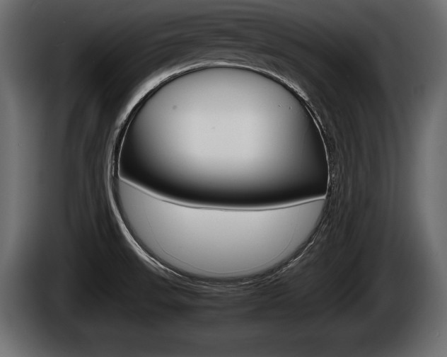 X0000086761523200704130803