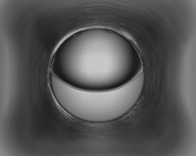 X0000086761524200704130803