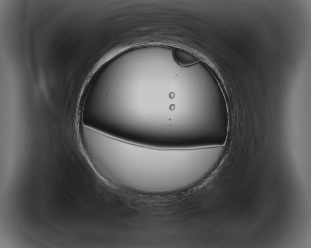 X0000086761525200704130803