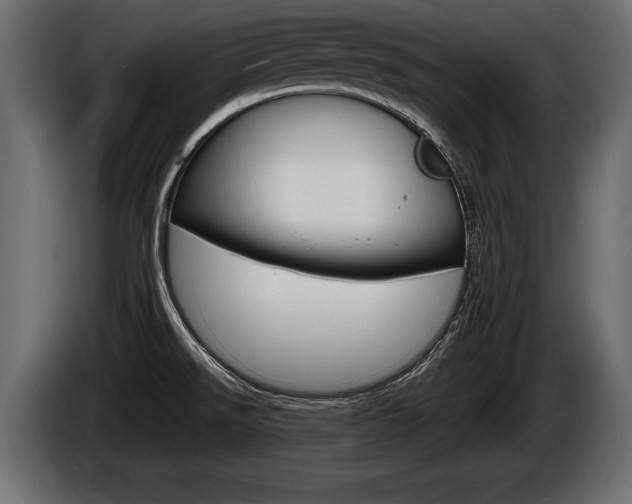 X0000086761526200704130803