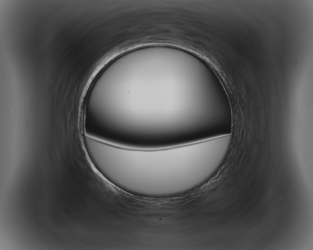 X0000086761527200704130803