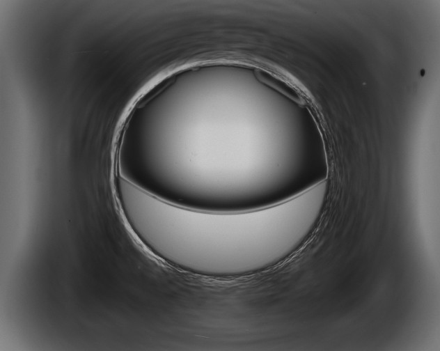 X0000086761528200704130803