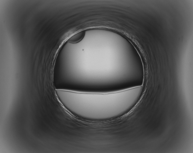 X0000086761529200704130803