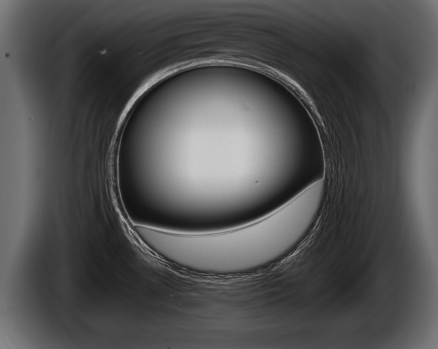 X0000086761530200704130803