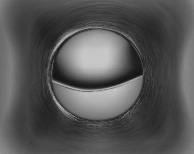 X0000086761531200704130803