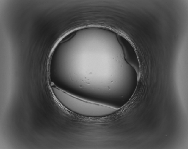 X0000086761532200704130803