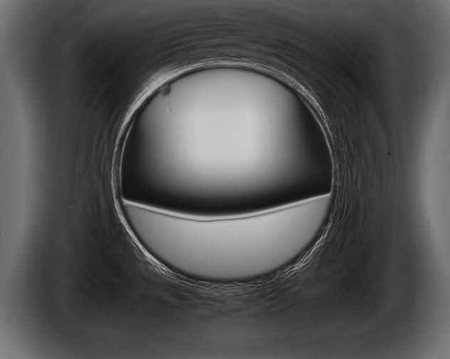 X0000086761533200704130803