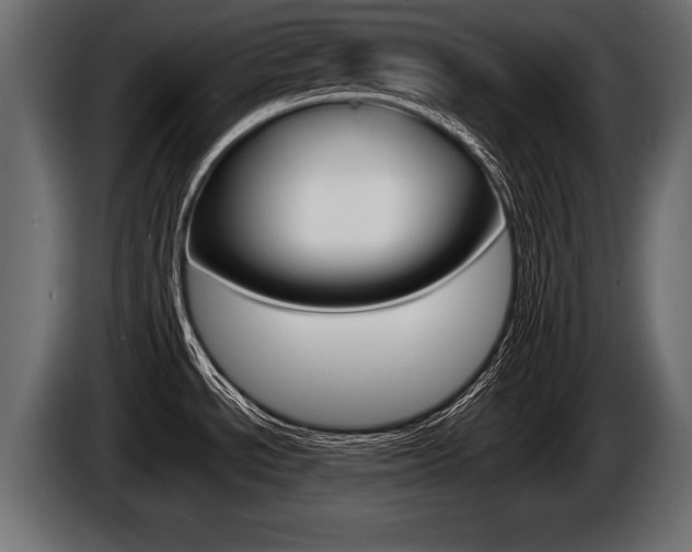 X0000086761534200704130803