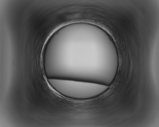 X0000086761535200704130803