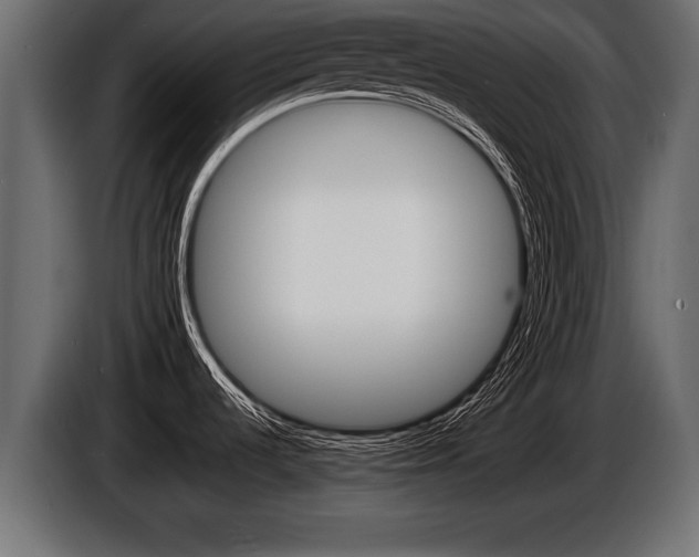 X0000086761536200704130803