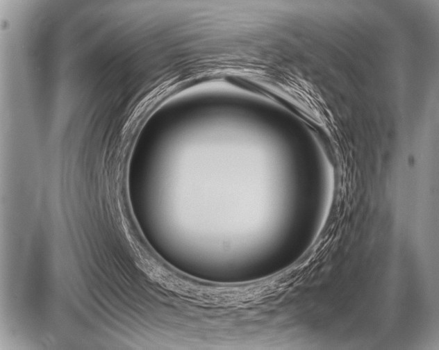 X0000086760001200704131128