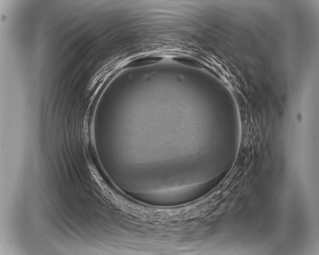 X0000086760002200704131128