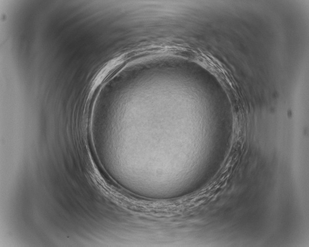 X0000086760003200704131128