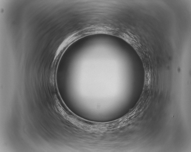 X0000086760004200704131128
