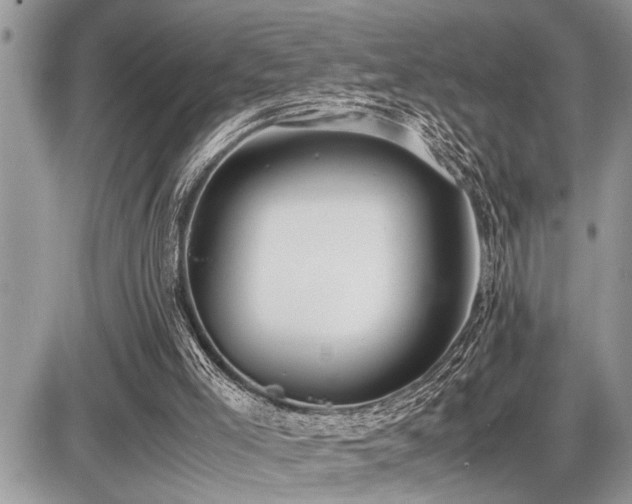 X0000086760005200704131128
